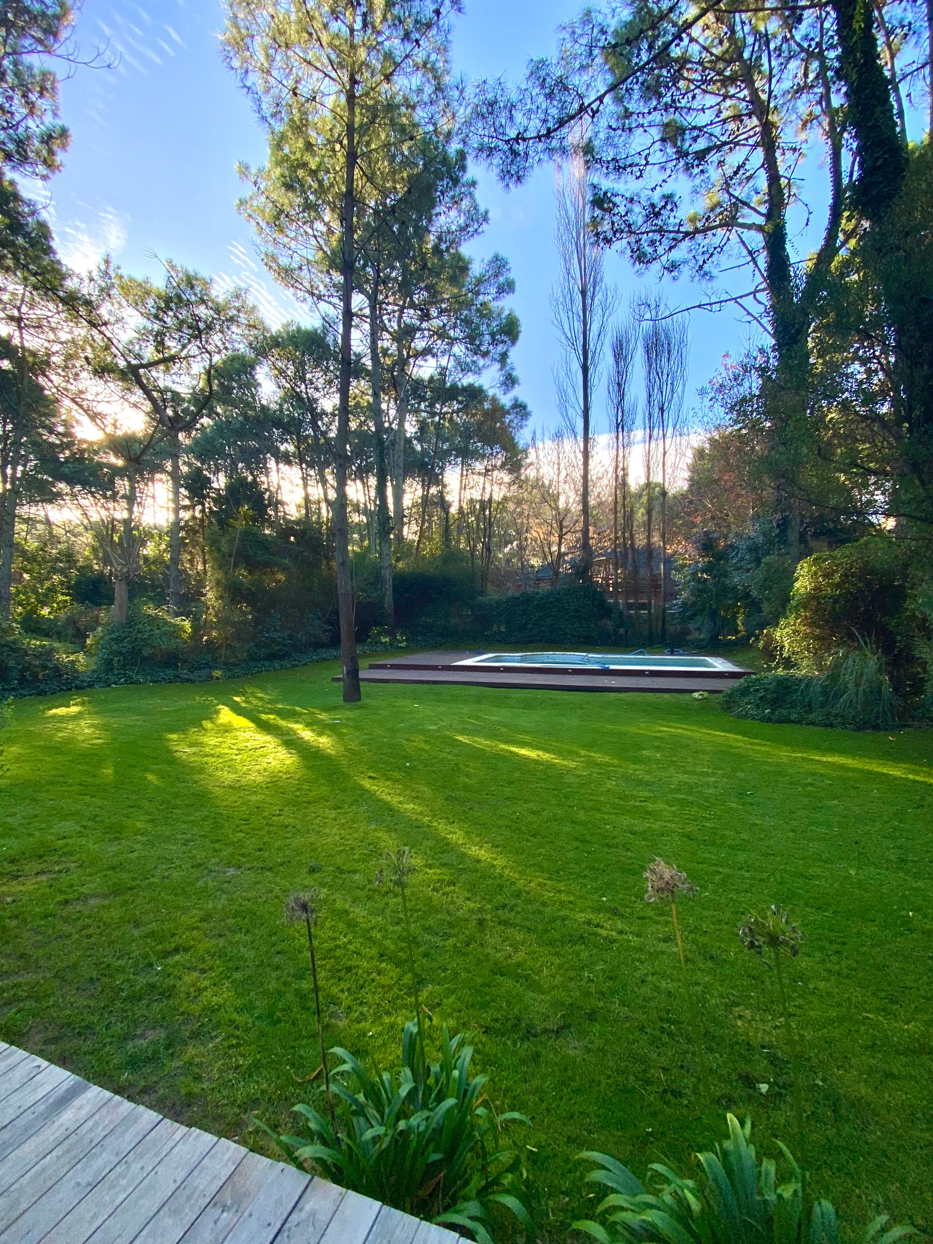 Casa Cedro